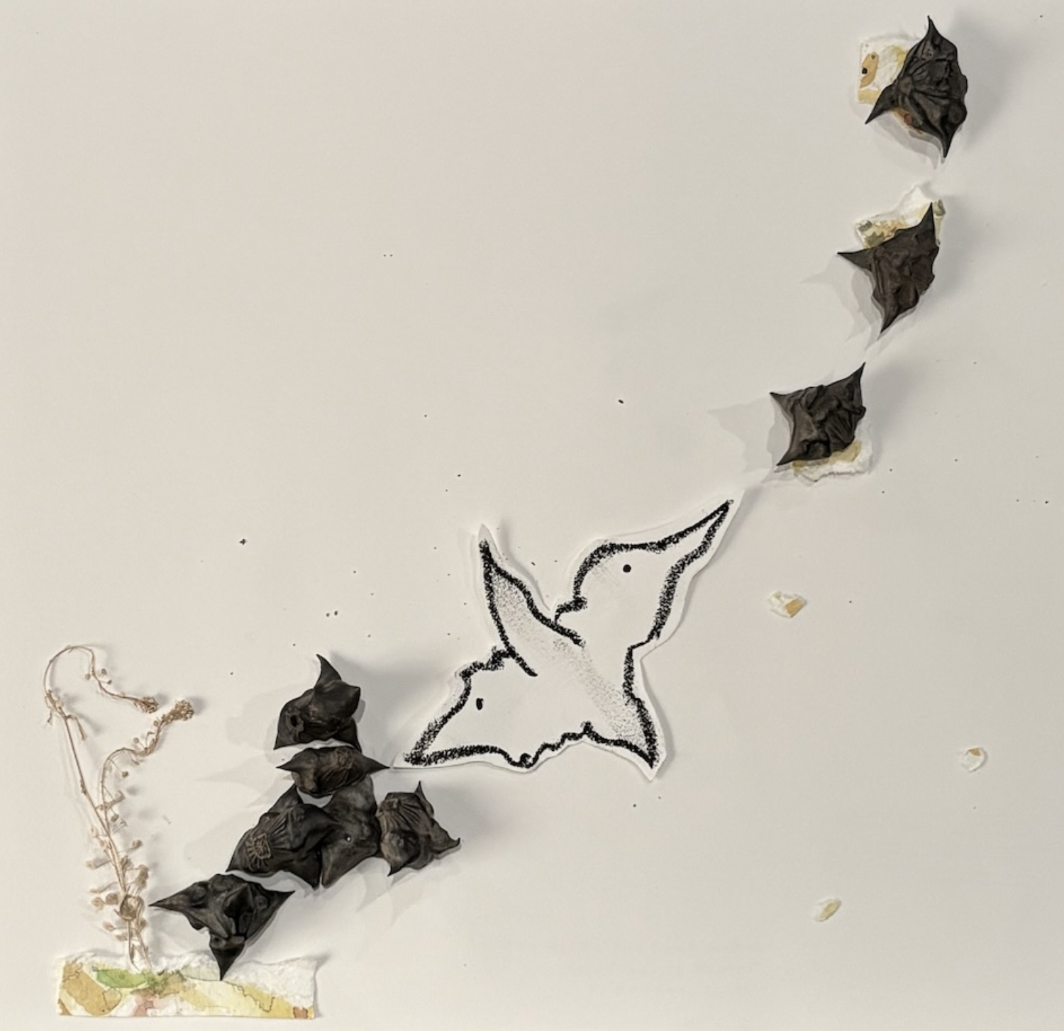 seedpods on paper in the shape of birds