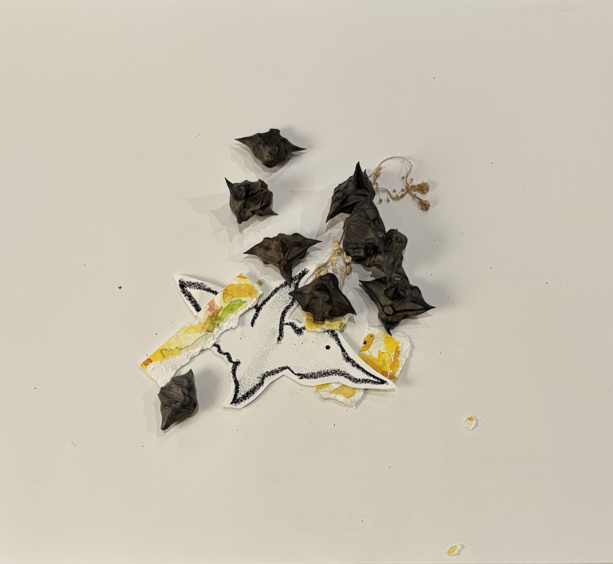 seedpods on paper in the shape of birds