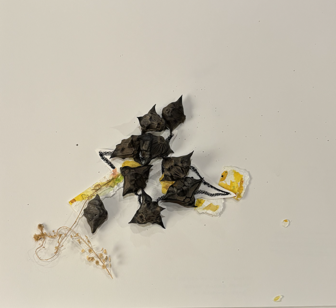 seedpods on paper in the shape of birds